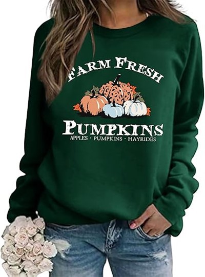 Fantastisk pumpa sweatshirt